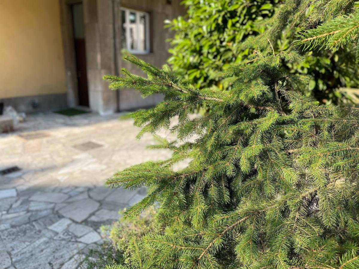 Apartament Affitti Brevi Caterina 2 Sesto San Giovanni Zewnętrze zdjęcie